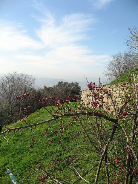 Fiesole - Parco di Montececeri-04.JPG